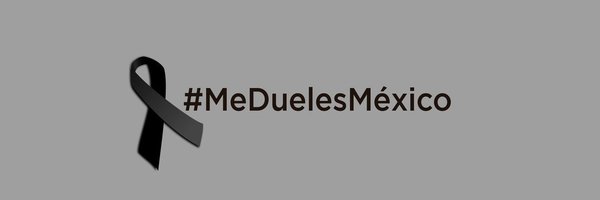 LuzMariaChavez1 Profile Banner