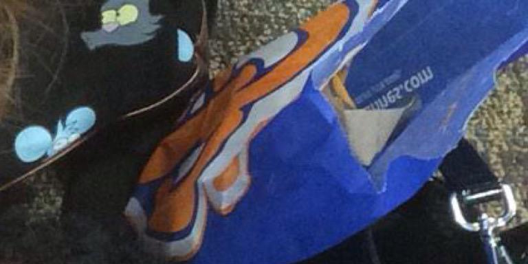 AcaciaAtmgdr's profile banner image