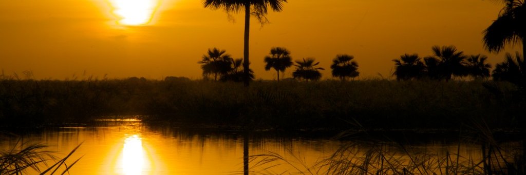 itagnolina's profile banner image