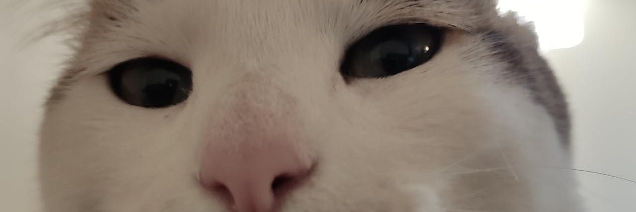 karen_aredo's profile banner image