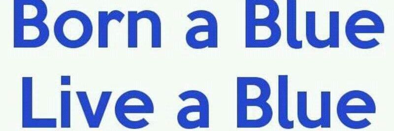 B.Bolvic banner