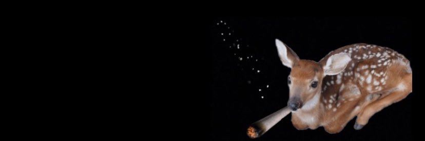 ayselicyln's profile banner image