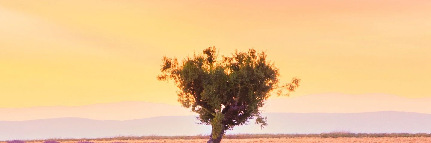 hemad2011's profile banner image