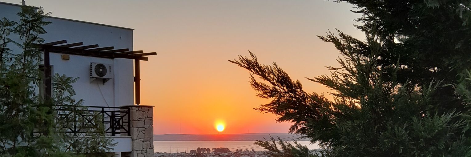 Richard Walker banner