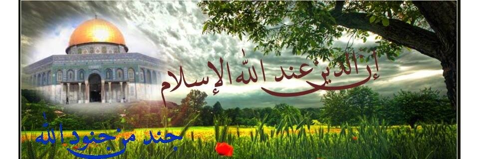 sms9194's profile banner image