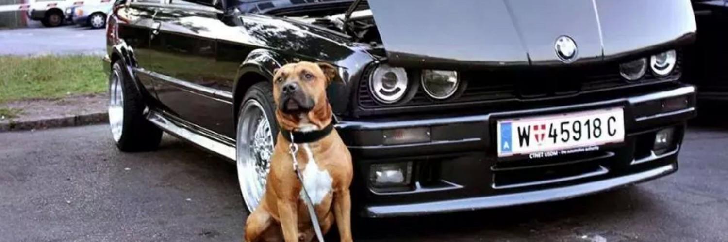 ashley_6882's profile banner image