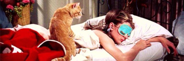 Annie Fawke banner