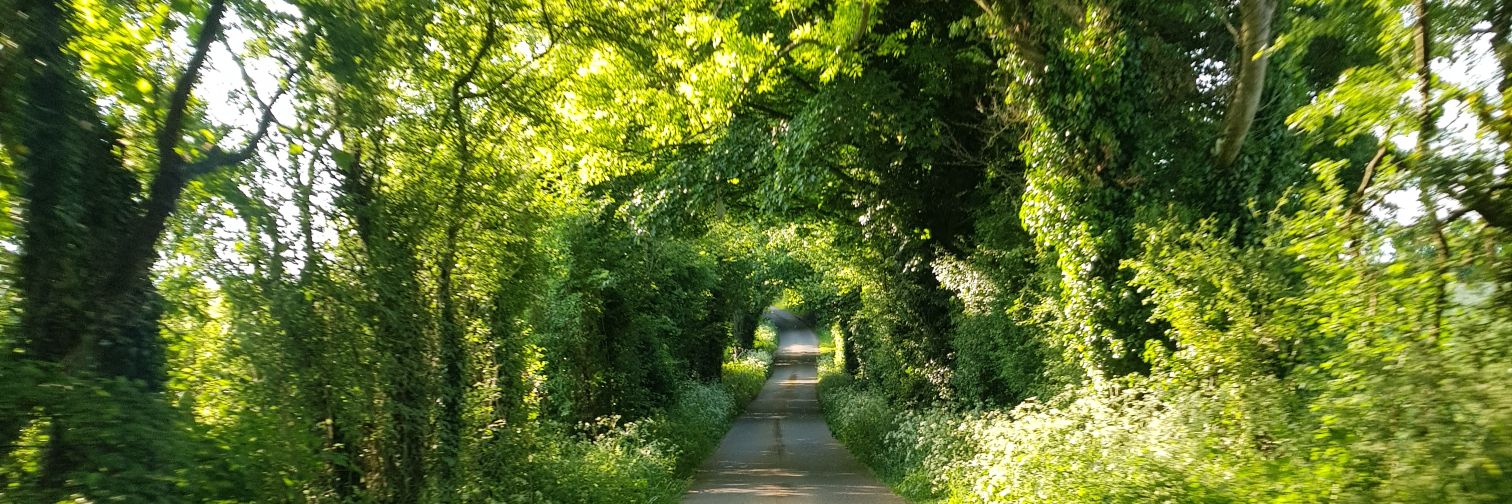 Jennifer Powers banner
