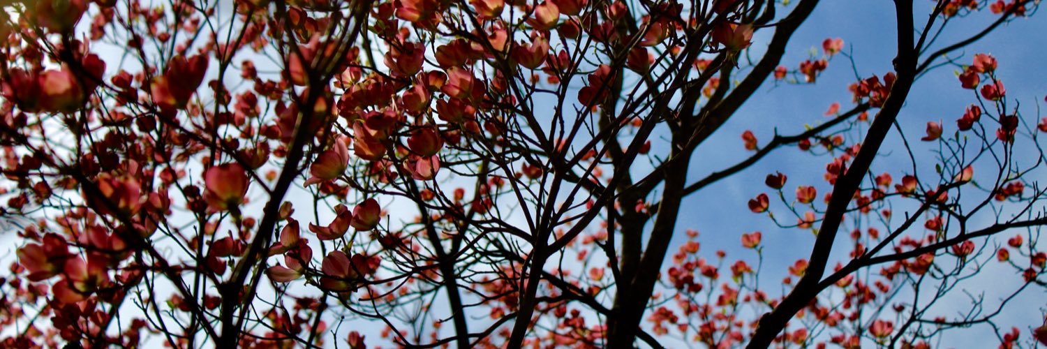 heathermoofasa's profile banner image