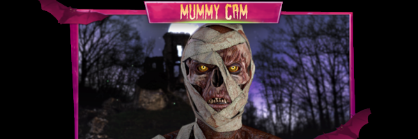 Tricks_OrTreats's profile banner image