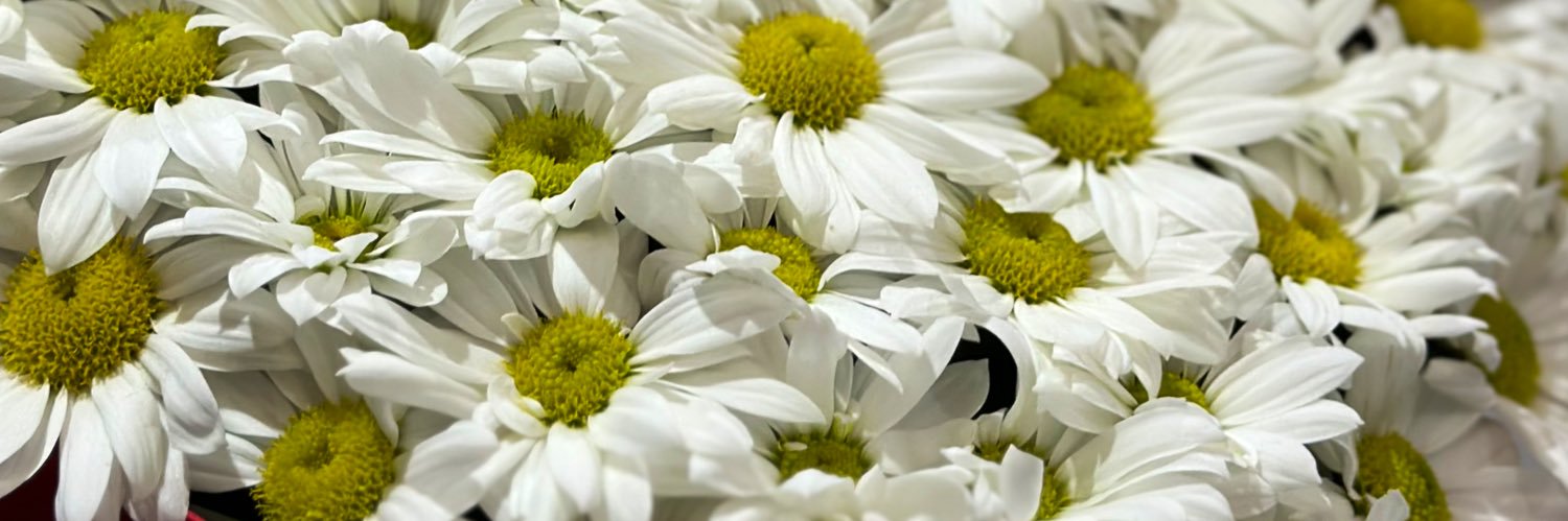 halime_okay's profile banner image