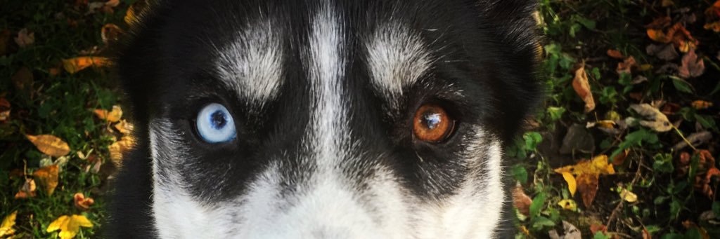 p_kellzz's profile banner image