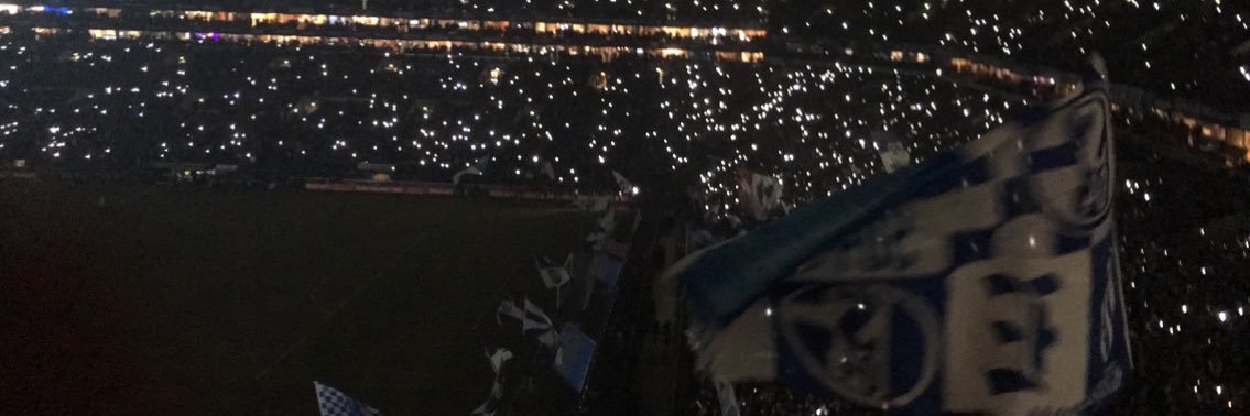 ingoanderbrucke's profile banner image