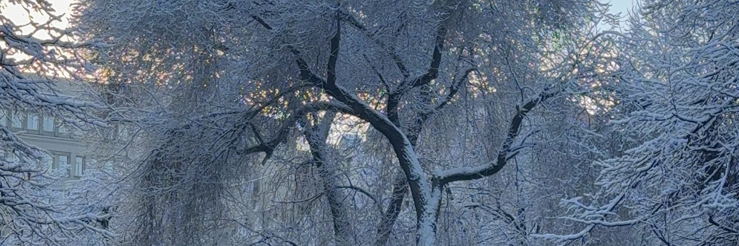 hessaaaly's profile banner image