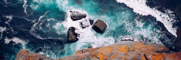 lyonora Profile Banner