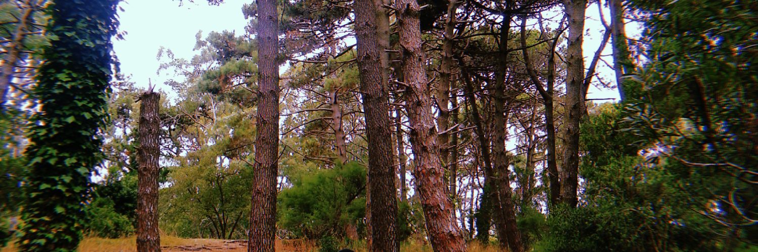 RocioAlvarez5's profile banner image