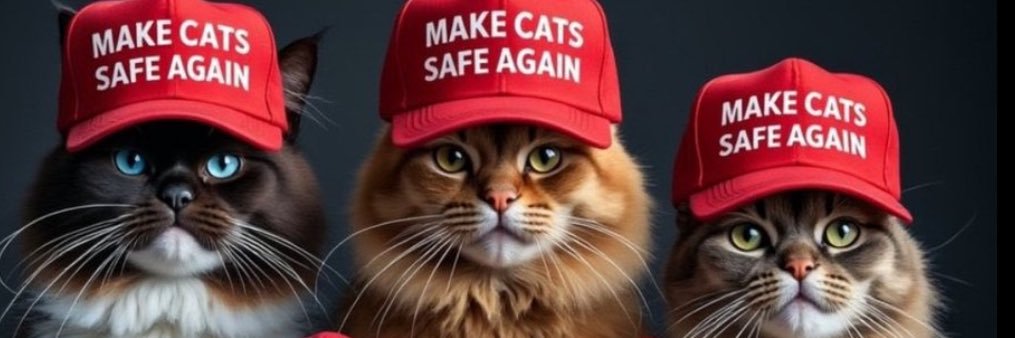 RBoxer🌸🐭 Cats Rule Meow😻 banner