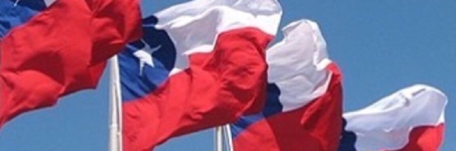 Carmenluz Ovalle R. banner