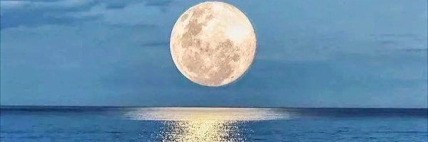 MichaelsSonia Profile Banner