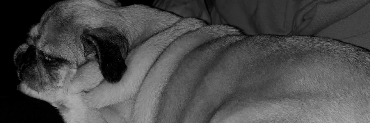 obviouslychlo's profile banner image