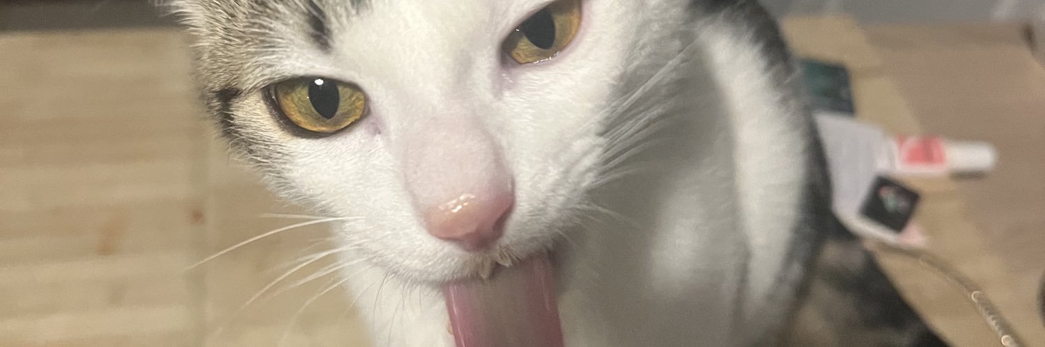 marzie banner