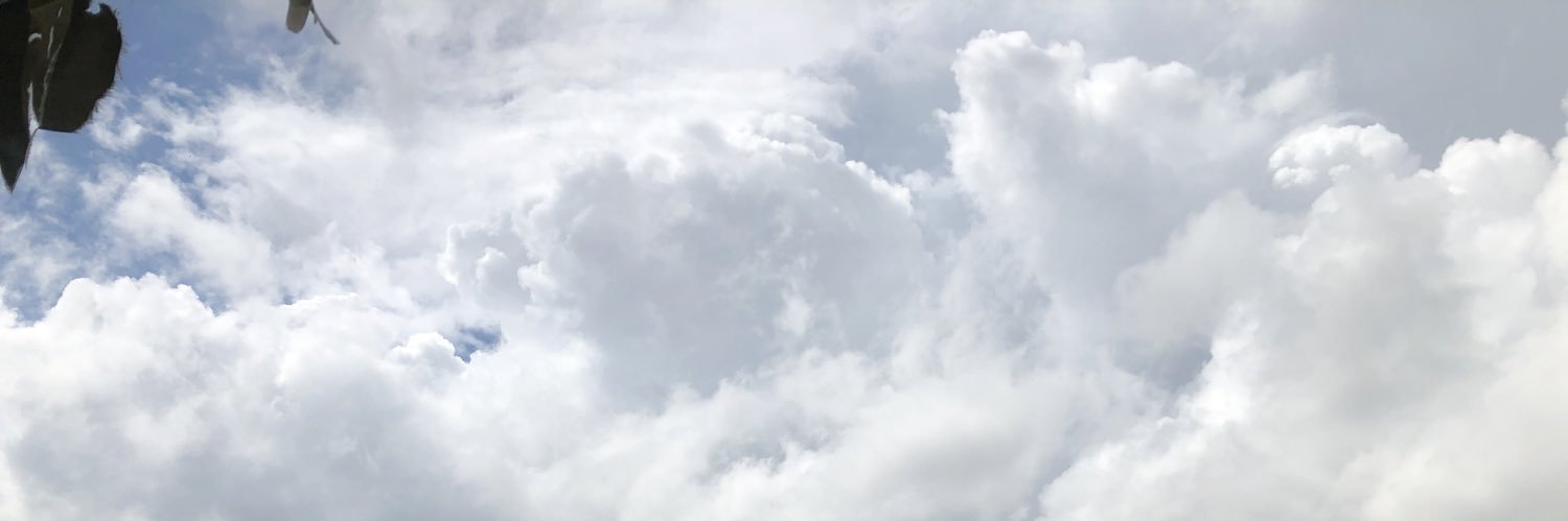 minipouce155's profile banner image