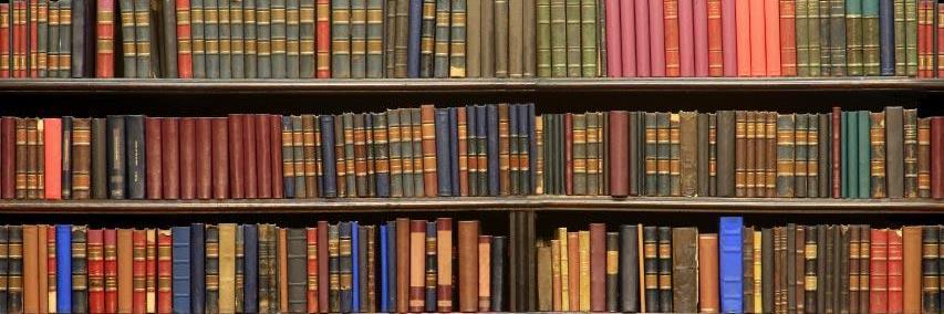 trentonlib's profile banner image