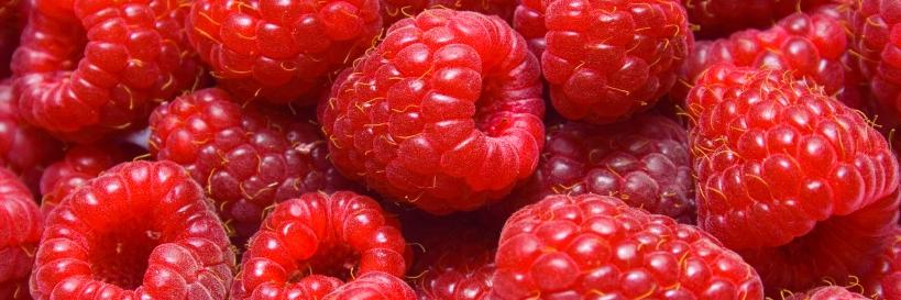 BCBerrie's profile banner image