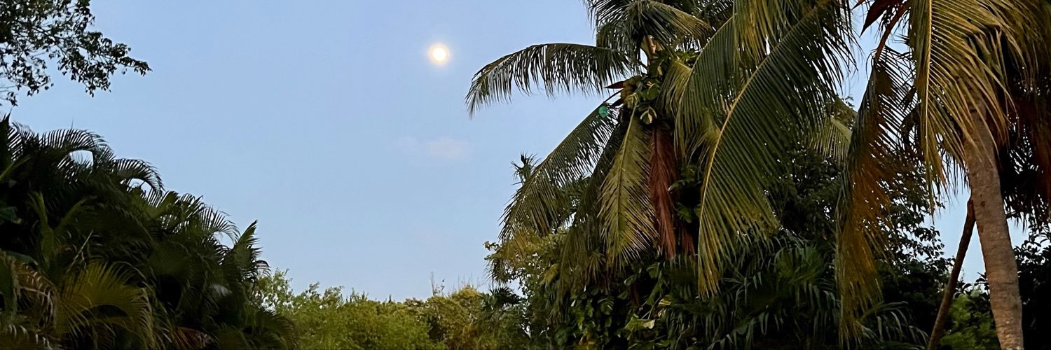 andreabomu's profile banner image