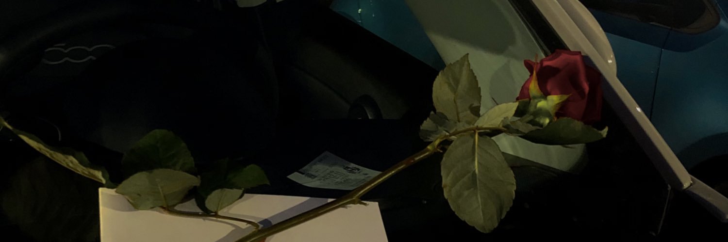 fabianagranieri's profile banner image
