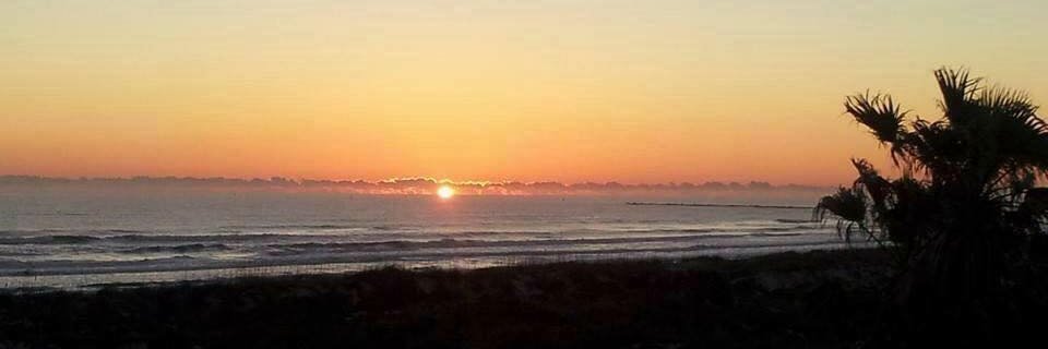 ⭐️MammaG⭐️ banner