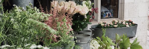 chloedoyle07's profile banner image