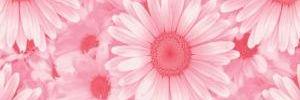 hdavila4068's profile banner image
