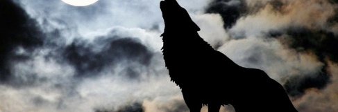 samihtc's profile banner image