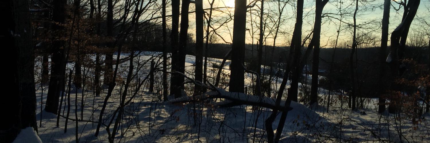 DenaLynnDECA's profile banner image