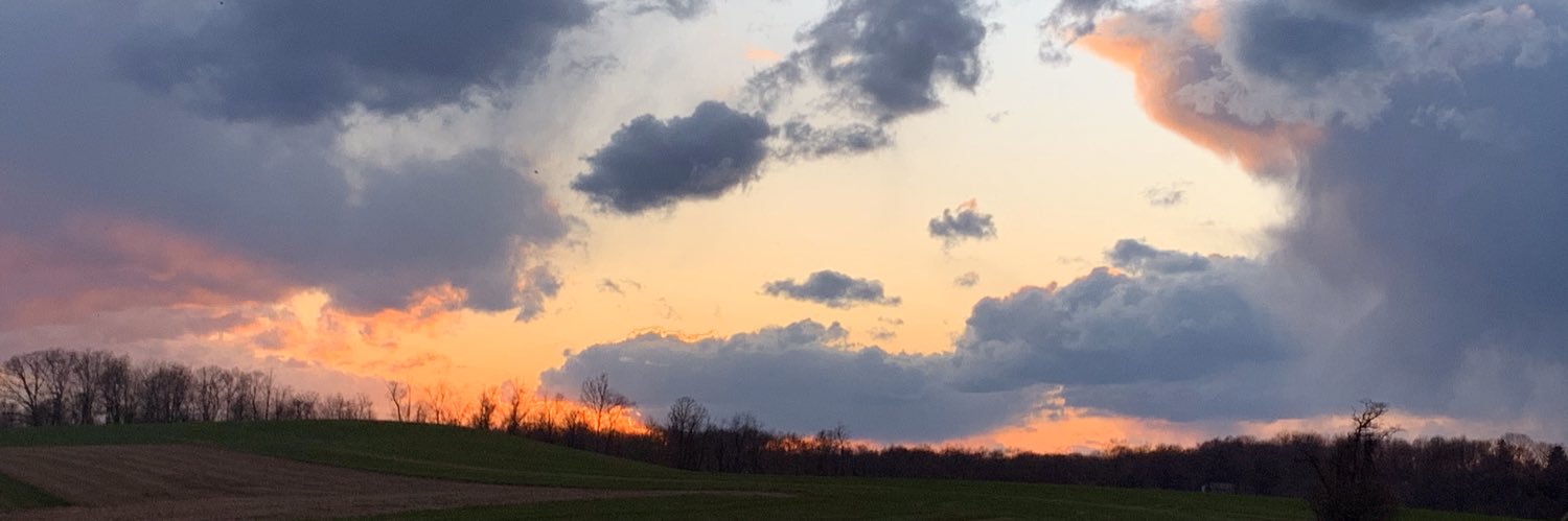 hannahsearight's profile banner image