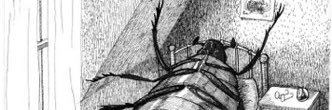 elvxraa's profile banner image