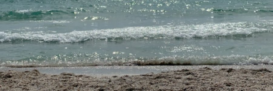 SherryBrandi's profile banner image