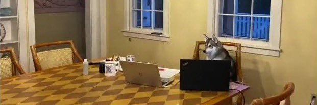 SethGrossman_'s profile banner image