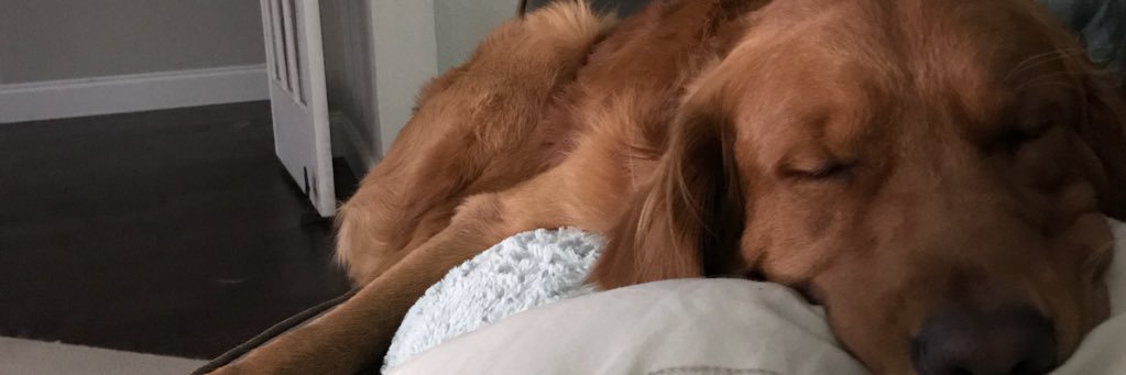 jflanders's profile banner image