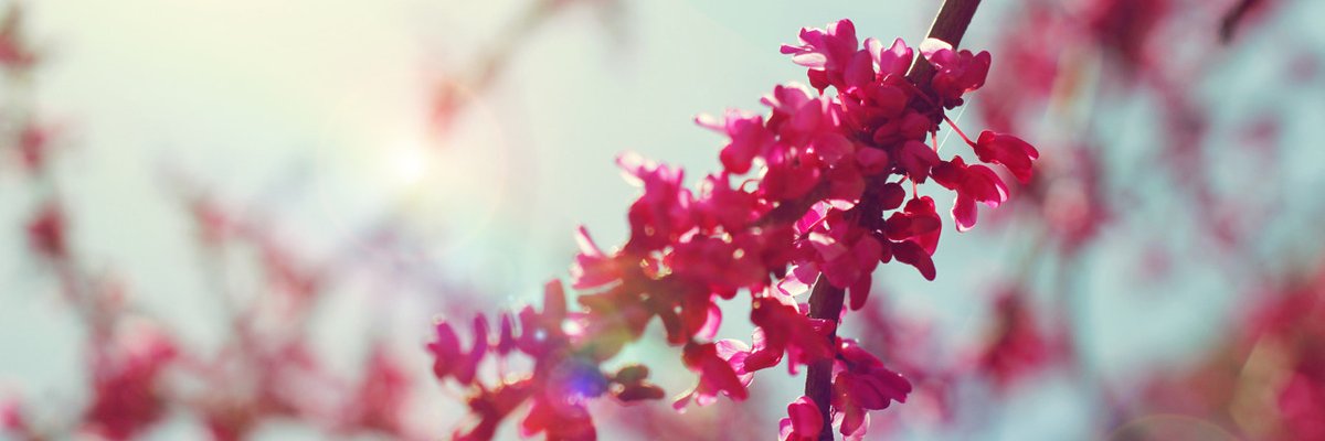 _Joodeo's profile banner image