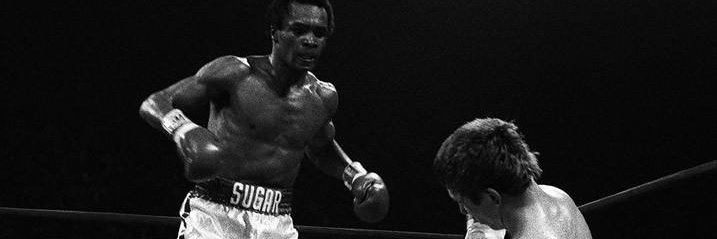 Lorenzo Daniel banner