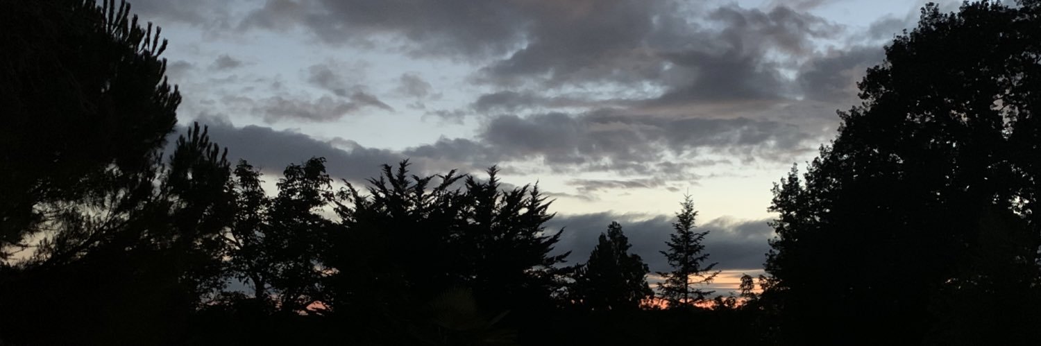 Julien_ddgn's profile banner image
