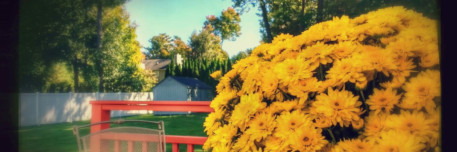 Emi1103's profile banner image