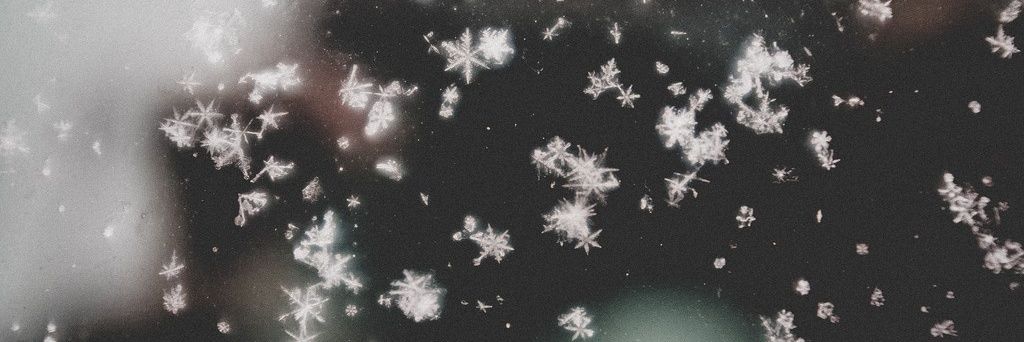 myemptyjournal's profile banner image