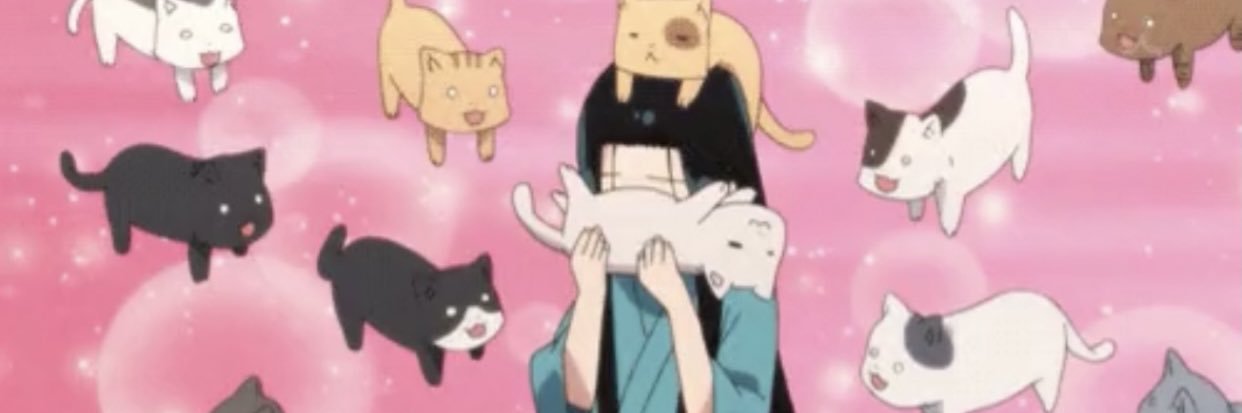 kittyzat13's profile banner image