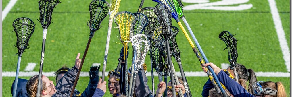 MSJ Women's LAX banner