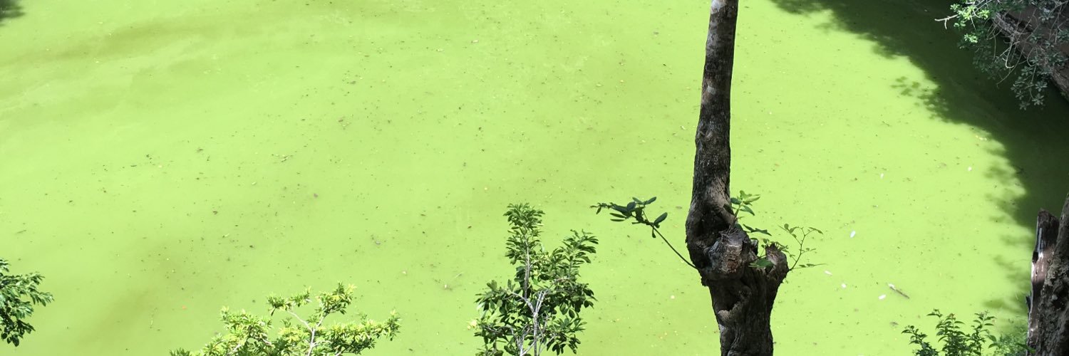 GG5point1's profile banner image