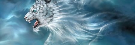 distinctlyus's profile banner image