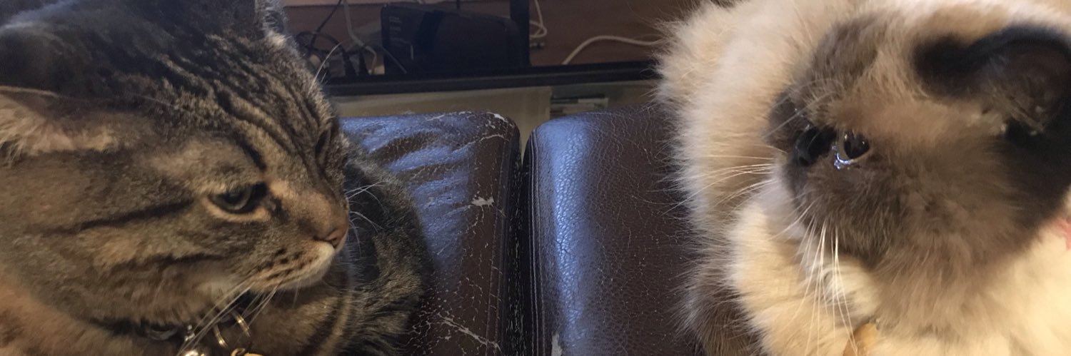 triciafitz's profile banner image